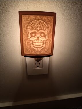 The Porcelain Garden Curved Skull Lithophane Night Light